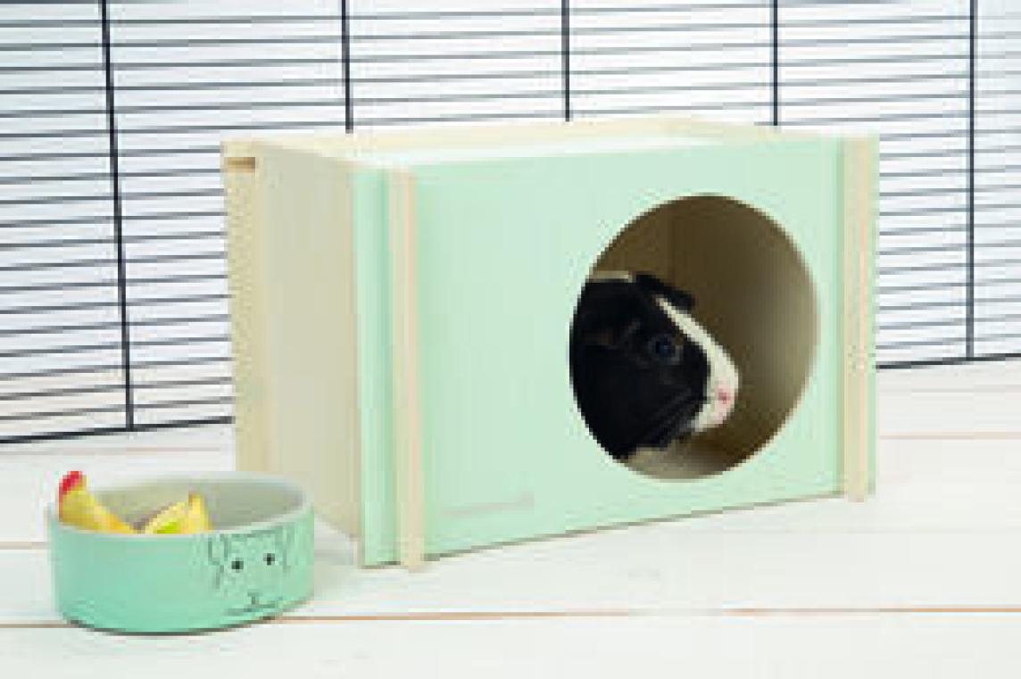 Jyrsijän puinenmökki Minttu m-koko