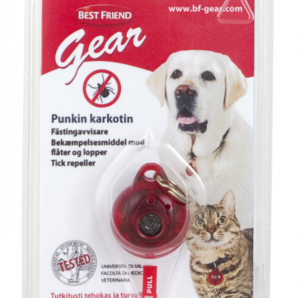 Best Friend Punkinkarkotin Gear