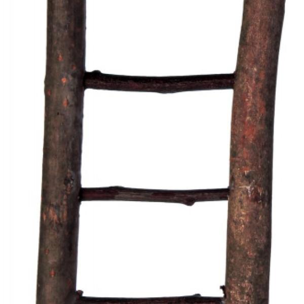 Trixie- Kiipeilytikkaat 30 cm/ 7 askelmaa