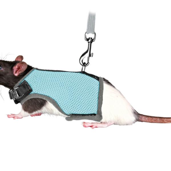 Rotan / Fretin valjaat