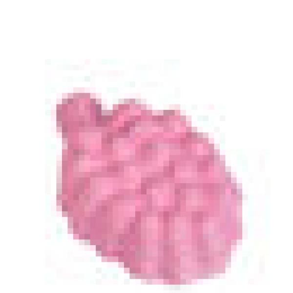 Karlie Flamingo Jyrsijän mineraalikivi Viinirypäle 25g